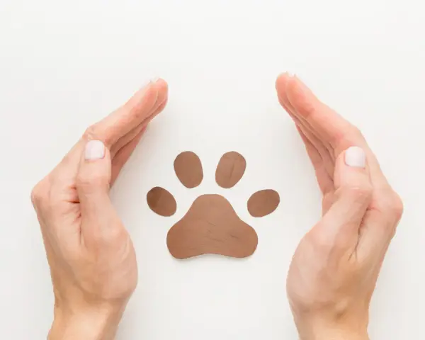 PawPal