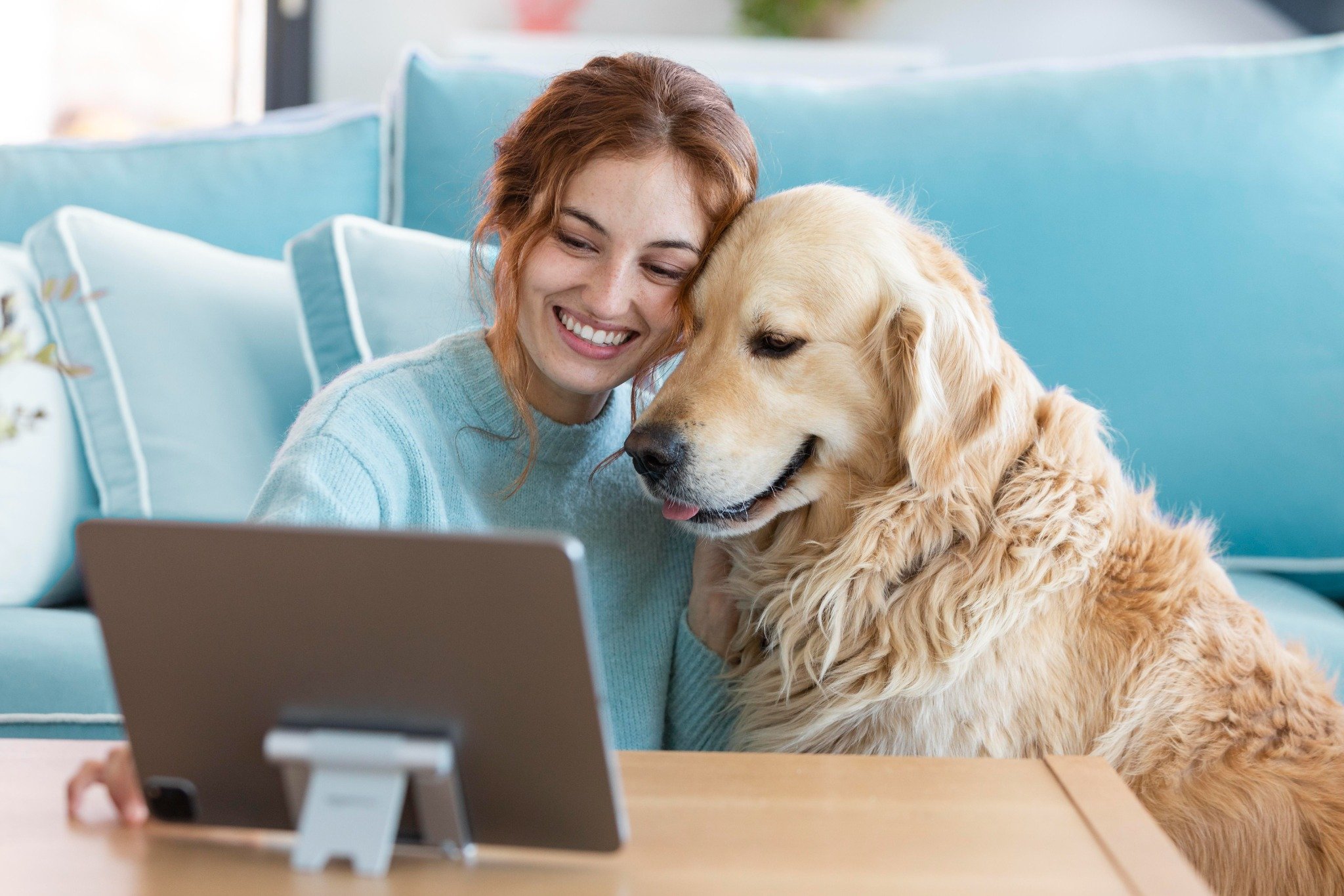 Pet Care Bookings: 70% More Appointments & 75% Fewer No Shows